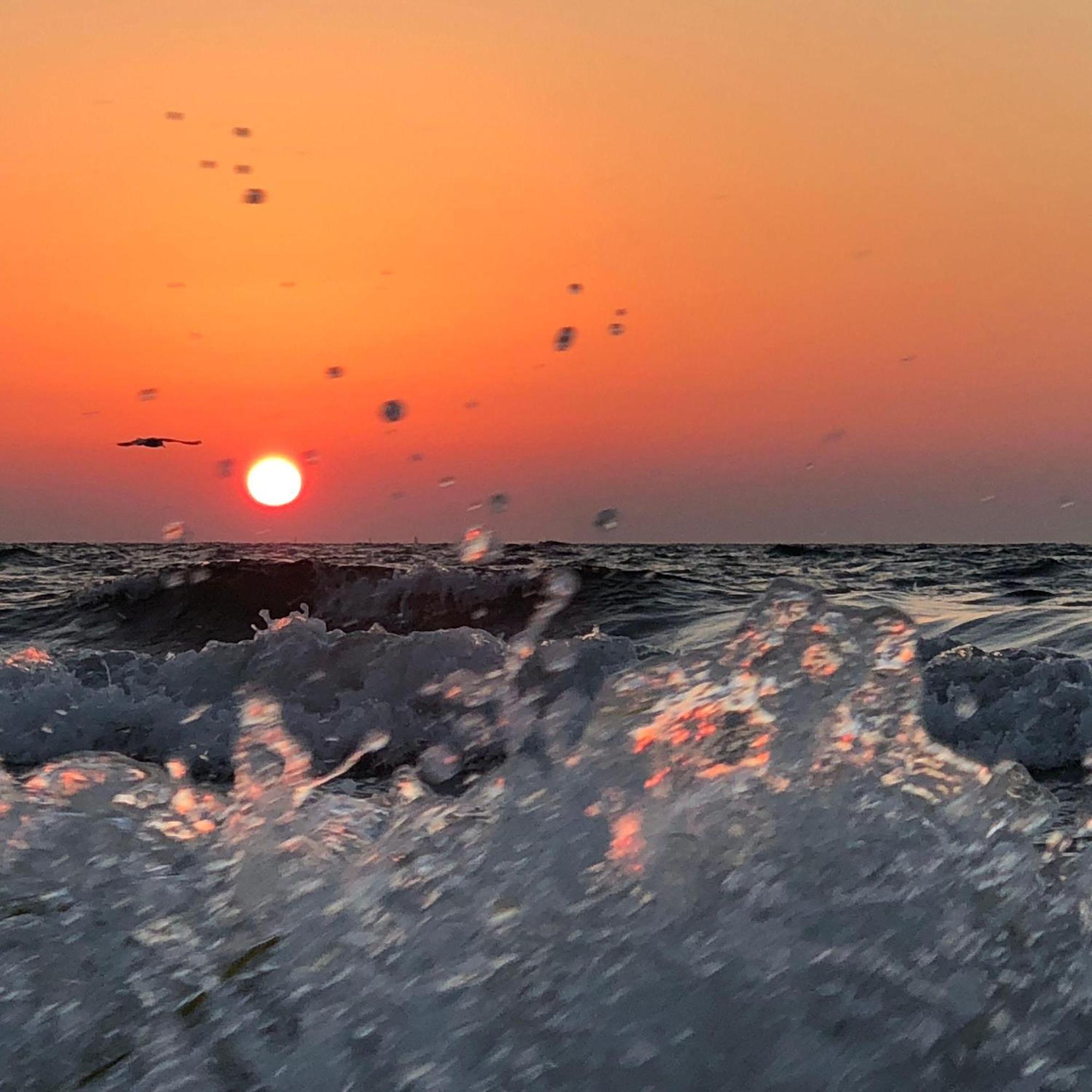 Suedstrand-Ferienwohnung-Suhr Burgtiefe auf Fehmarn Dış mekan fotoğraf
